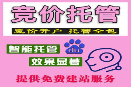 百度品牌推广案例：实战解析品牌塑造策略